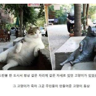 죽었더니 당사자 동의 없이 주민들이..